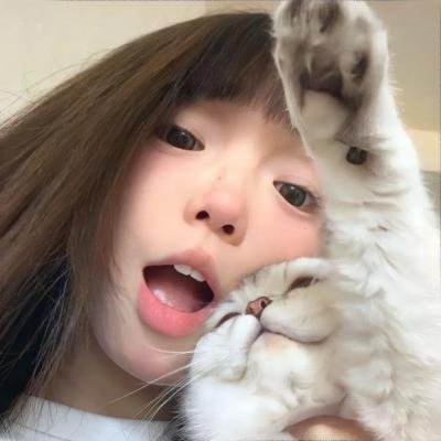 柏林猫咪日记